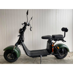 Lera Scooters C2 1500W zelená