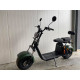 Lera Scooters C2 1500W zelená