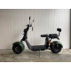 Lera Scooters C2 1500W zelená