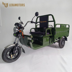 Leramotors Cargo G1 1000W COC Zelená