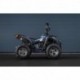 Čtyřkolka Leramotors By APOLLO RFZ 250 Černá