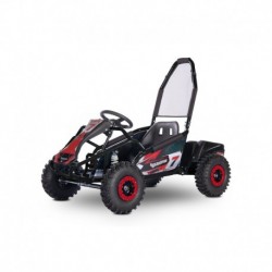 Buggy Leramotors Razor  1000W Černá