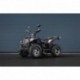 Čtyřkolka Leramotors By APOLLO RFZ 250 Černá