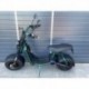 Elektrokoloběžka Lera Scooters C6 2000W Zelená