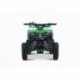 Čtyřkolka Leramotors Storm Mini 49Ccm E-Start Zelená