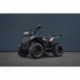 Čtyřkolka Leramotors By APOLLO RFZ 250 Černá