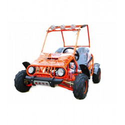 ATV BUGGY 125CC NITRO SUNWAY SPIDER - AUTOMATIC