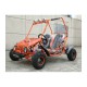 ATV BUGGY 125CC NITRO SUNWAY SPIDER - AUTOMATIC