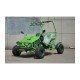 ATV BUGGY 125CC NITRO SUNWAY SPIDER - 3GR