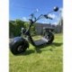 Elektrokoloběžka Lera Scooters C1+ 1500W Černá