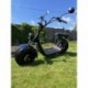 Elektrokoloběžka Lera Scooters C1+ 1500W Černá