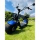Elektrokoloběžka Lera Scooters C1+ 1500W Modrá