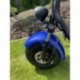Elektrokoloběžka Lera Scooters C1+ 1500W Modrá