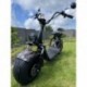Elektrokoloběžka Lera Scooters C1+ 1500W Hnědá