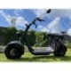Elektrokoloběžka Lera Scooters C1+ 1500W Hnědá