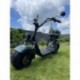 Elektrokoloběžka Lera Scooters C1+ 1500W Zelená