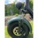 Elektrokoloběžka Lera Scooters C1+ 1500W Zelená
