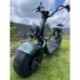 Elektrokoloběžka Lera Scooters C1+ 1500W Zelená