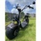 Elektrokoloběžka Lera Scooters C1+ 1500W Hnědá