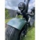 Elektrokoloběžka Lera Scooters C1+ 1500W Zelená