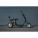 Elektrokoloběžka Leramotors Scooters C2 2000W Zelená