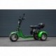 Elektrická tříkolka Leramotors Scooters C5 2000W Zelená
