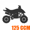Dětské čtyřkolky - 125 - 250 ccm